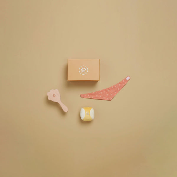 Dinkum Dogs - Starter Set