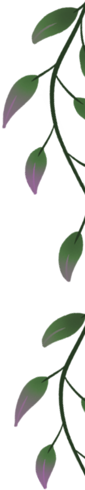 vines illustration
