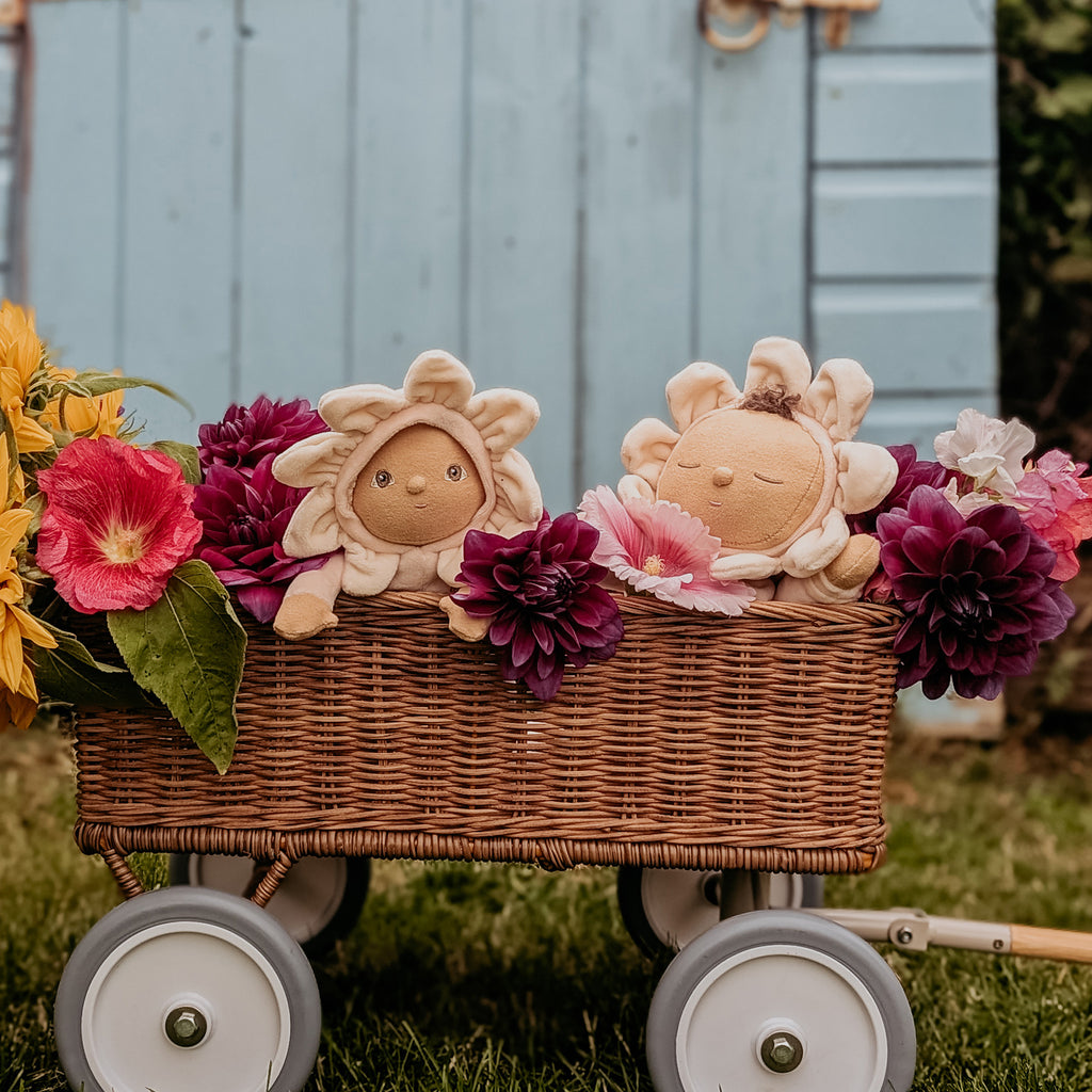 Limited Edition Blossom Buds - Gift Set - Gardenia – Olli Ella USA