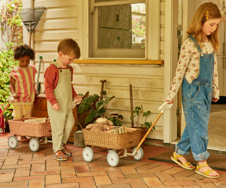 Olli Ella USA Wonder Wagon