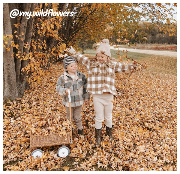 Wonder Wagon user generated content