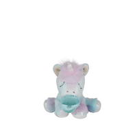 Rainbow unicorn plush toy with pacifier