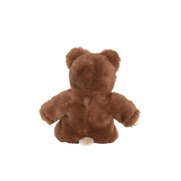 Brown teddy bear on a white background