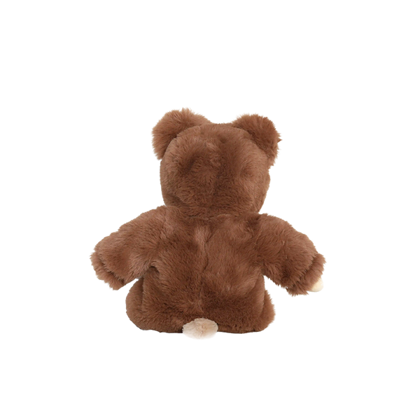 Brown teddy bear on a white background