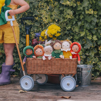 Dinky Dinkums Happy Harvest - Gene Greens