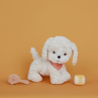Olli Ella Dinkum Dog Starter Set - ball, bandana and brush kit on Cookie