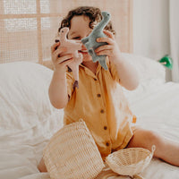 Holdie Set - Dinosaurs