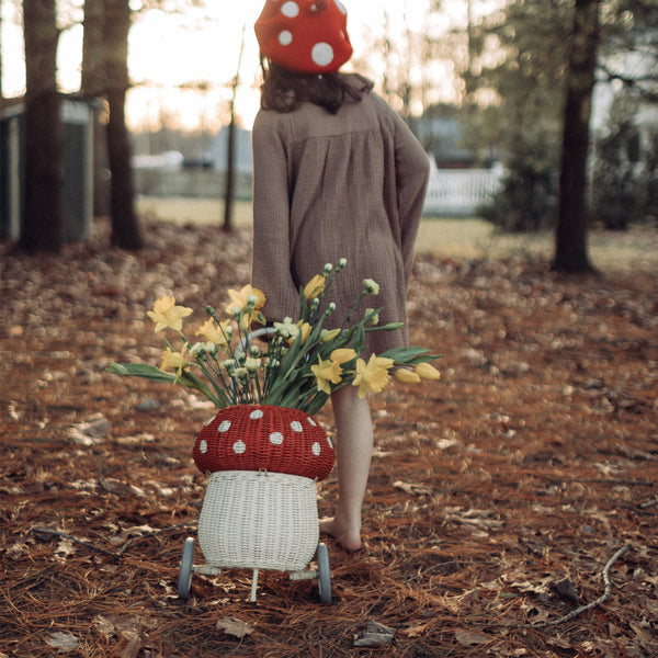 Whimsical red and white mushroom basket on wheels. This 100% Handwoven Rattan wheeled basket is ideal for storing and toting around prized possessions! 